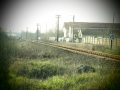 Railway
